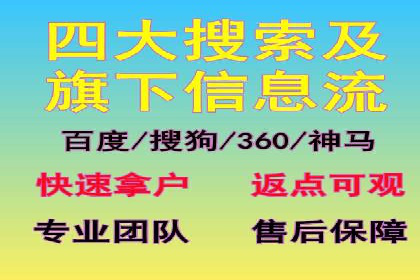 某行业领军企业的SEM广告投放策略